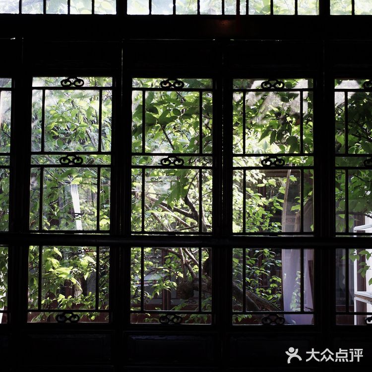苏州曲园|这里是新江南