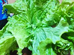-牛犇烤肉(物资学院路店)