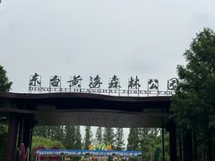 -黄海国家森林公园