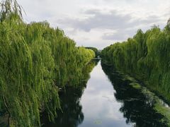 -广富林郊野公园