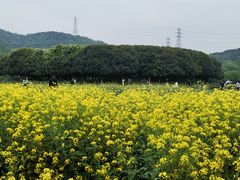-八卦田遗址公园