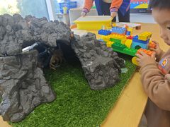 -斯坦星球青少儿编程机器人科学思维专注力科创竞赛规划(兰岛学习中心)