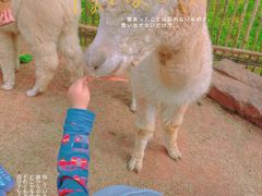-黄龙溪欢乐田园