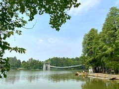 -东湖落雁景区