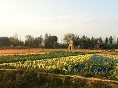 -田园东方蜜桃村的田野营地