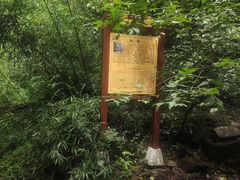 -老象峰