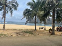 -海南分界洲岛旅游区