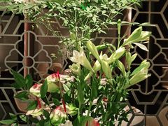 -山里亲戚(淞虹路店)