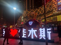 -万达影城(佳木斯万达广场IMAX店)