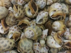 -勝記酒家·37年老字号·经典粤菜(荔枝公园店)