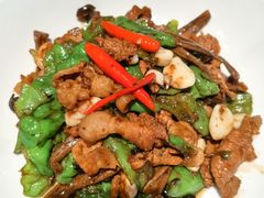 -秀儿四九城·新京菜(亚运村鸟巢店)