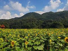 -广州市石门国家森林公园