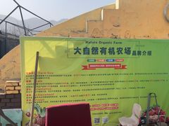 -大自然农场蔬菜草莓采摘园