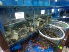 -张树军海鲜(王府壹号店)