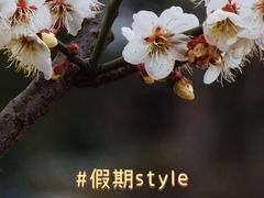 -花开海上生态园