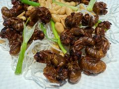 -老山东·山东菜(鲁菜名店)