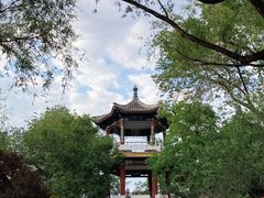 -莲花池公园