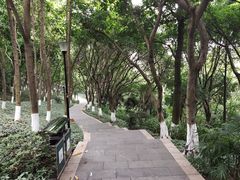 -龙头寺公园
