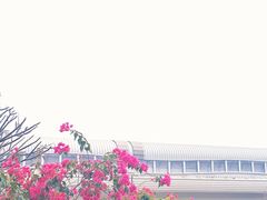 -阳台山森林公园
