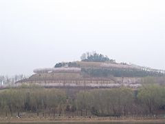 -河北省园博园