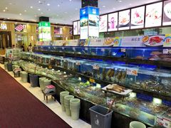 水产区-欢乐海岸美食联盟
