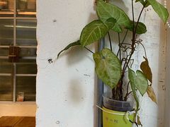 -绿小院(荔湾店)