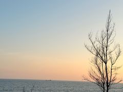 -广东惠东海龟国家级自然保护区