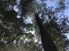 -广州市白云山风景名胜区