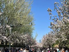 -星巴克(天津五大道店)