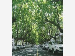 -四川农业大学(雅安校区)