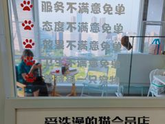 -爱洗澡的猫(望京店)