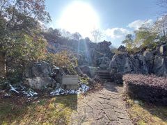 -千岛湖石林