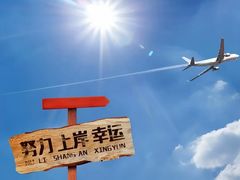 -一朵菌·野生菌探索家火锅(南亚店)
