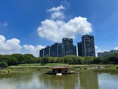 -顺峰山公园