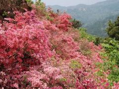 -木兰云雾山