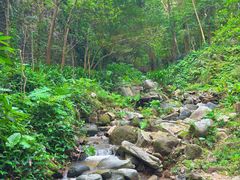 -火炉山森林公园