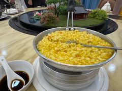 -丁老爷子苏香圆