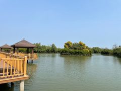 -大湾区中央湿地公园