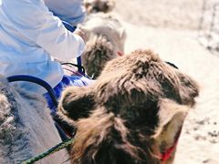 -库伦旗银沙湾旅游景区