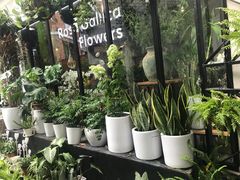 -% Arabica阿拉比卡咖啡(武康路店)