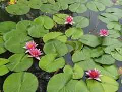 -北京小汤山医院体检中心