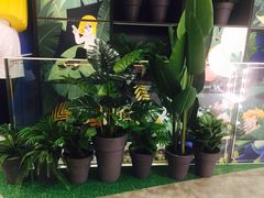 -LINE FRIENDS Garosu-gil Flagship Store