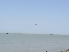 -上海滨江森林公园