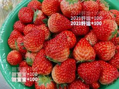 -胡家庙水果批发市场