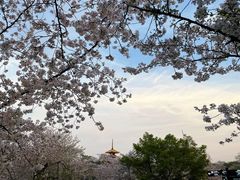 -东湖磨山景区