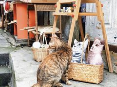 -重庆十八梯传统风貌区
