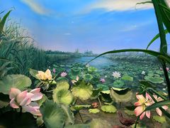 -同里国家湿地公园