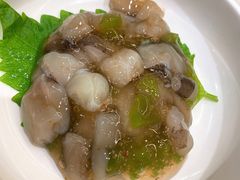 芥末章鱼-京樽回転寿司(奥林匹克店)