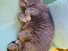 -Rabbit Cafe私房西餐甜点咖啡(栖霞路店)