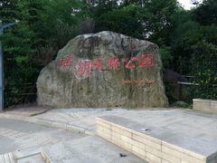 -瑶湖郊野森林公园